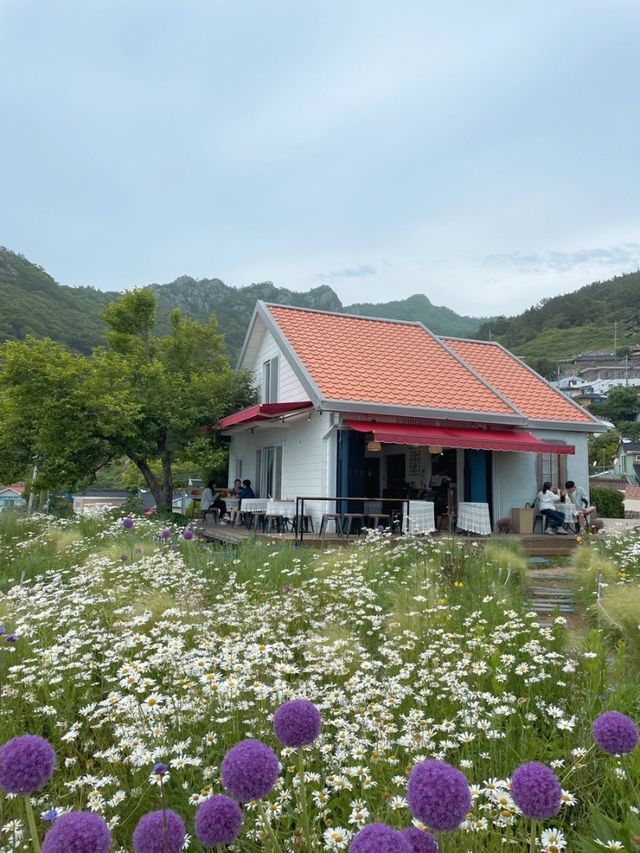 남해 다랭이마을에서 무조건 가야 하는 카페톨~