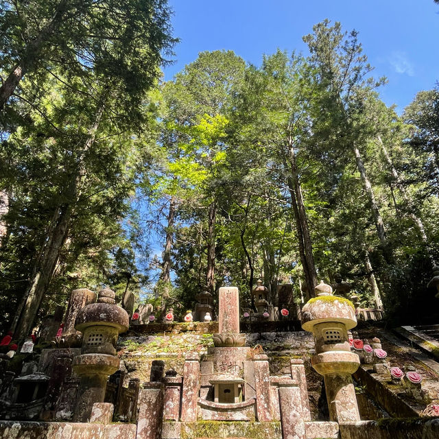 高野山金剛峯寺を訪れました！
