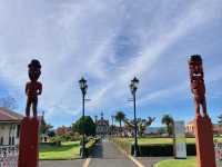 【NZ】ニュージーランド ロトルア旅