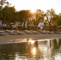 Embracing Beach Life at Mimos Beach Art