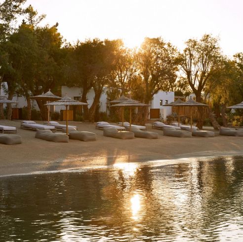 Embracing Beach Life at Mimos Beach Art