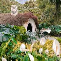 Add Cameron Highland to your holiday wishlist ! 