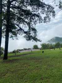 ม่อนสน | เชียงใหม่ 🏕️🌧️⛰️🐶
