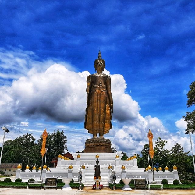 กราบสักการะพระศรีสัพพัญญู ณ วัดขัวแคร่