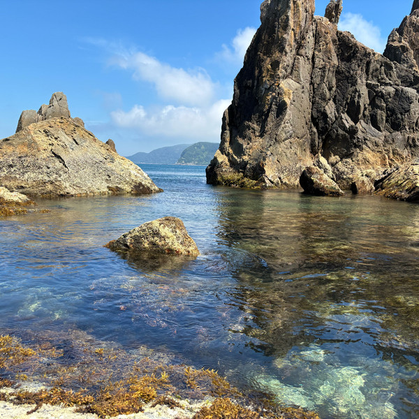 本州の最南端の海 サンゴが観れるのは串本だけ！ | Trip.com 串本