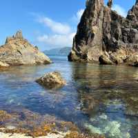 本州の最南端の海　サンゴが観れるのは串本だけ！
