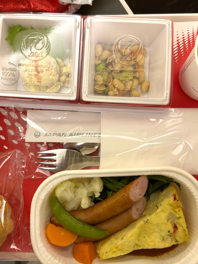 東京　東京観光　JAL便でSingaporeチャンギ国際空港へ快適フライト！