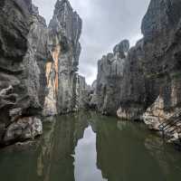 Stone Forest?!