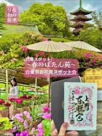 〜東京都〜東京穴場お花見スポット🌸