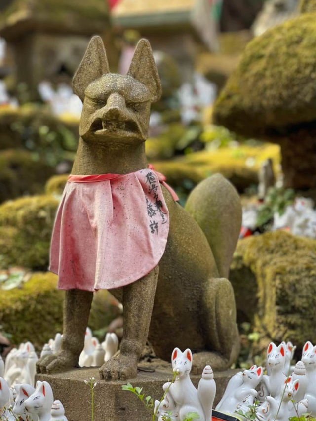 【鎌倉】佐助稲荷神社