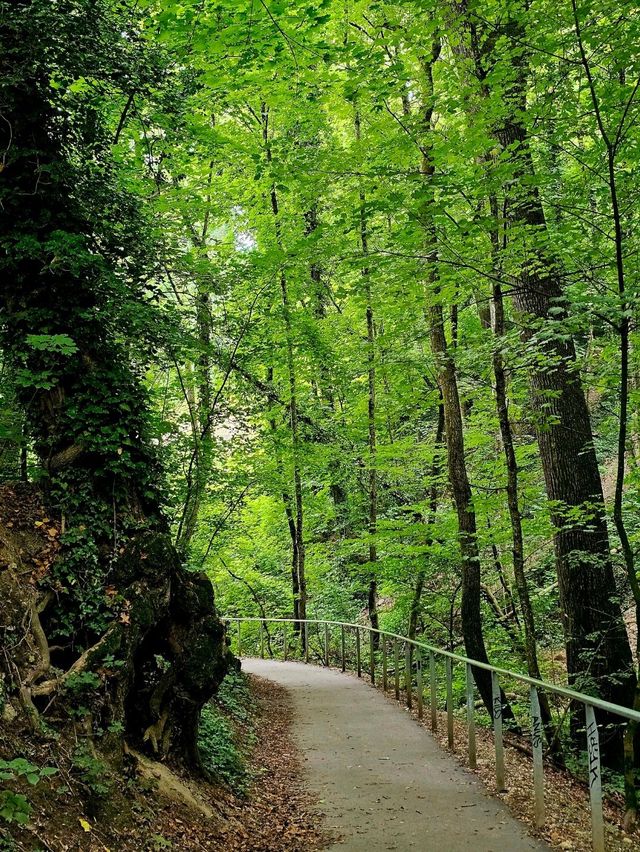 🇨🇭 스위스 제네바 바띠 산림 공원에서 피서를 즐기다!