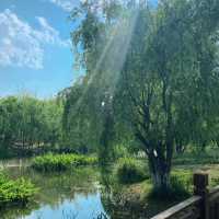 星湖濕地公園：絕佳自然勝地，令人陶醉的樂趣