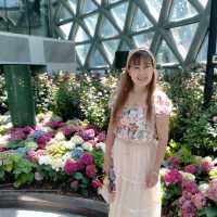 Miracle of Natural Rayong สวนดอกไม้เมืองหนาว
