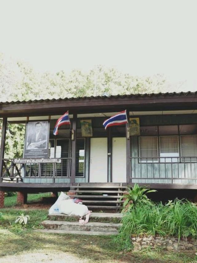 สักครั้งในชีวิตพิชิตยอดดอยหลวงเชียงดาว