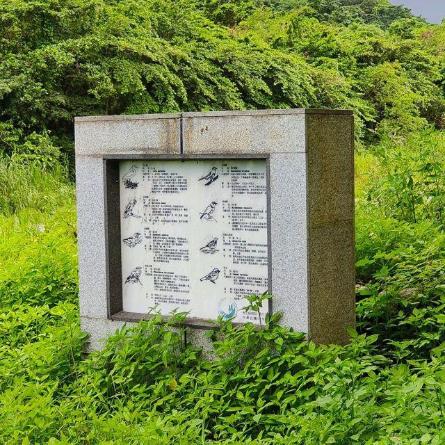花蓮-重光部落（親水白豹溪）