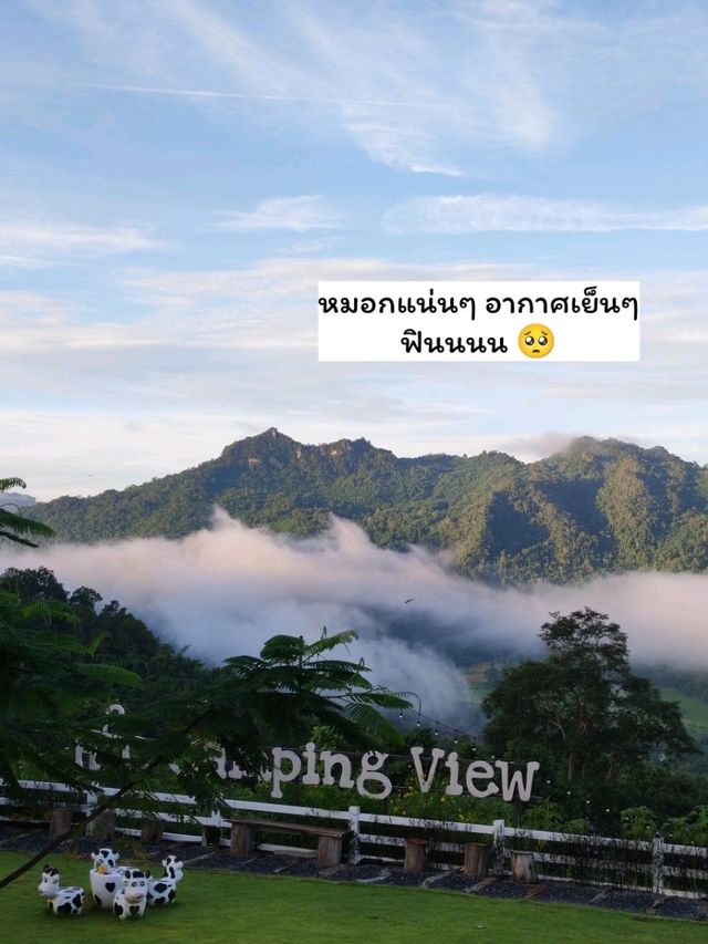 ไปดูหมอกใกล้กรุงเทพกันนน