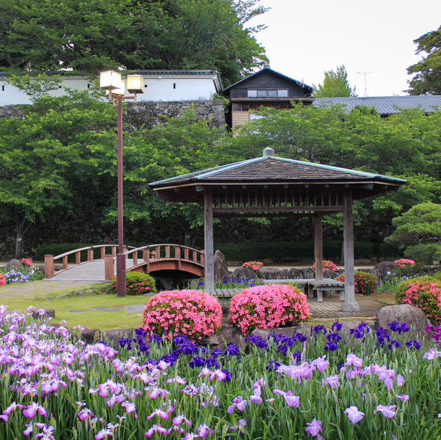 🇯🇵長崎｜西日本第一花見名所．大村公園