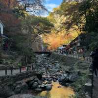 Awesomely beautiful of Minoo in Osaka