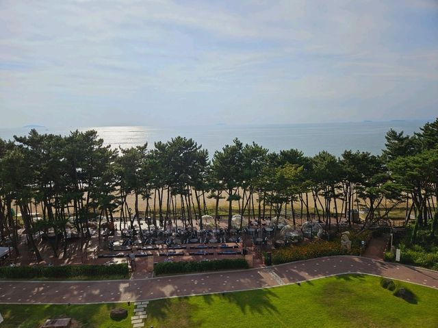 A nice vacation at Island Resom Hotel