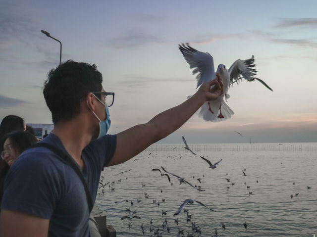 รีวิว สถานตากอากาศบางปู ( ดูนกนางนวล ) 🕊️