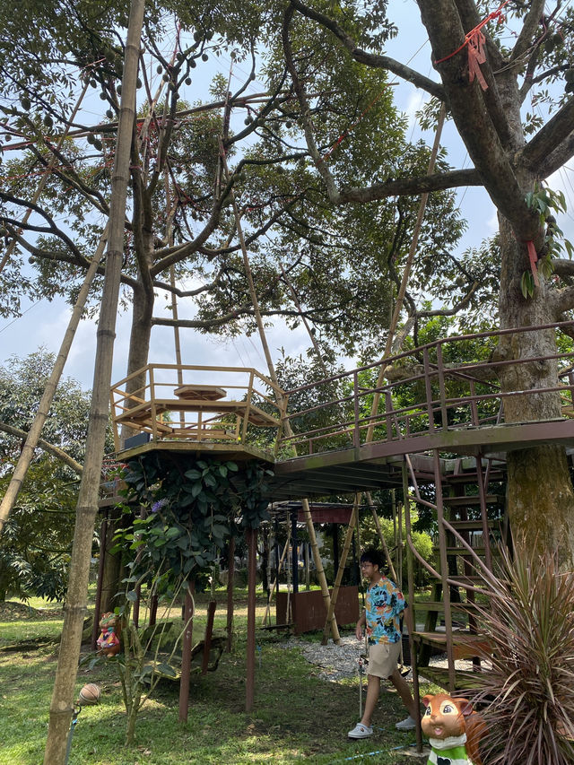  🍕สวนอรุณบูรพา ☀️