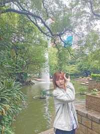 居然在九龍公園發現天空之鏡