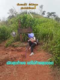 ภูสอยดาวครั้งแรก ! 2 วัน 1 คืน 