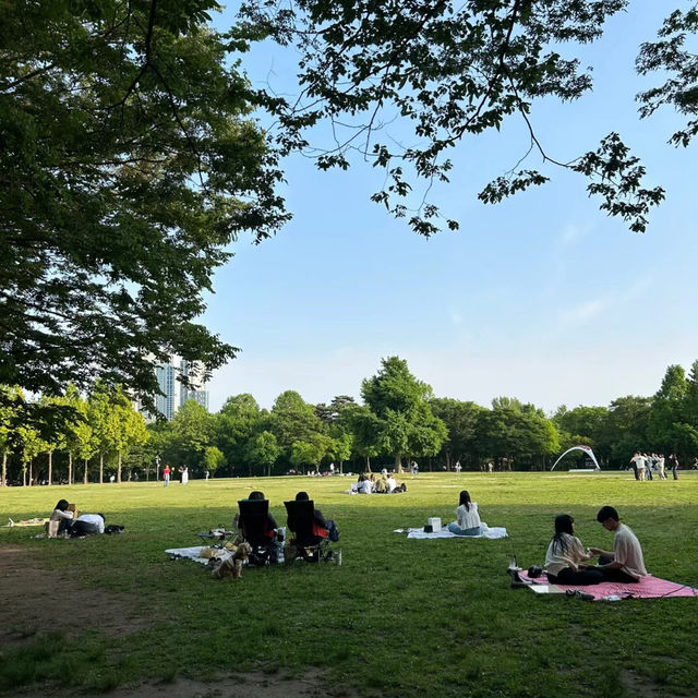 🌲 木場公園🌲城市綠洲🌲