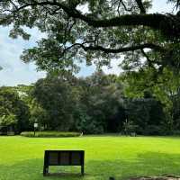 班嘉奇蒂公園🗺️ 綠意盎然的天地