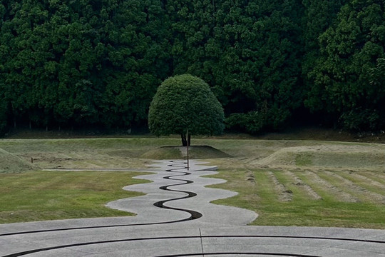 1mi5s224x8wglxgj0DFBC_R_600_40