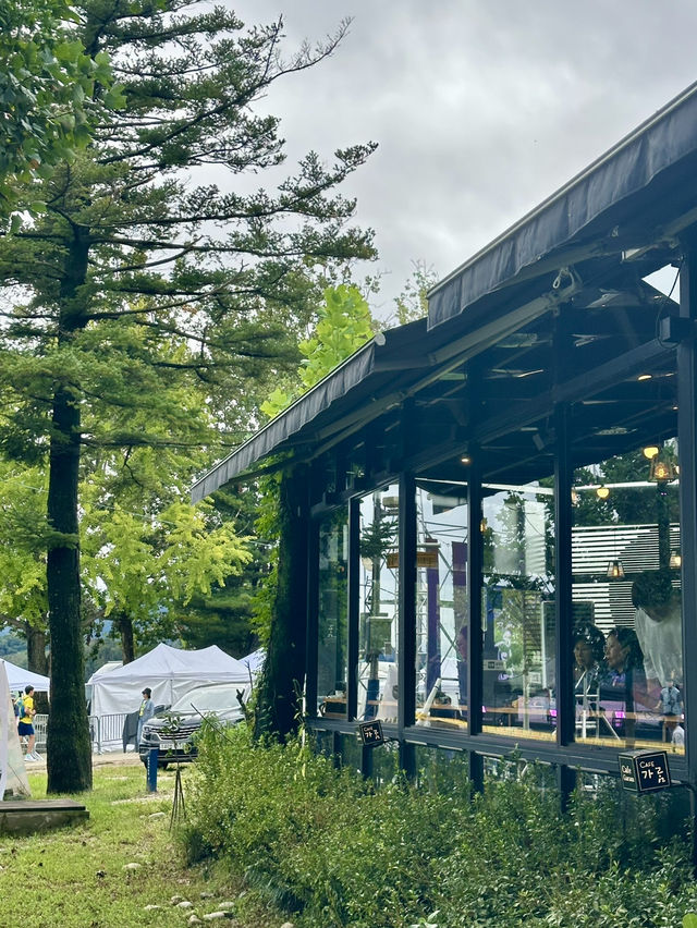 두물머리의 수려한 자연경관을 보며 🏞️ 커피타임을 가질 수 있는 사진명소카페