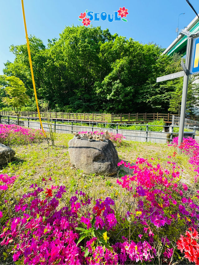 🇰🇷 Gamaksan Entrance is a photo spot 