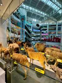 Excellent Mall in Guangzhou 