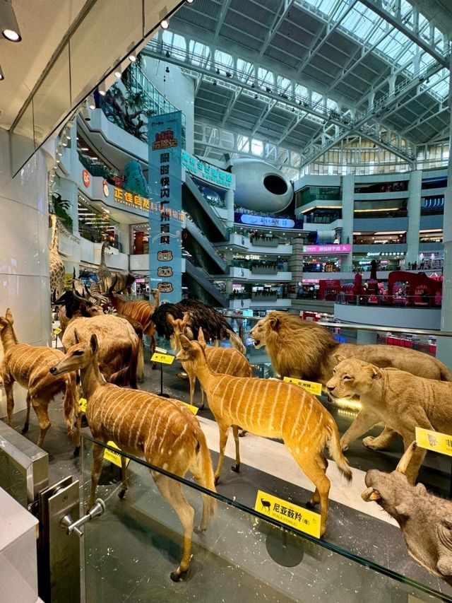 Excellent Mall in Guangzhou 