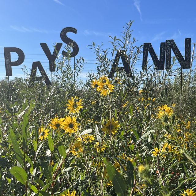 An one-of-a-kind experience in a forgotten city 