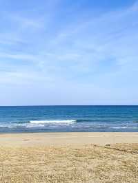 ☀️여름하면 바다! 동해안 바다여행🌊🏖️