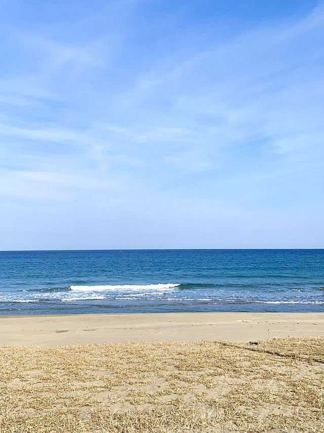 ☀️여름하면 바다! 동해안 바다여행🌊🏖️
