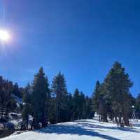 佐幌滑雪場的冰雪狂歡！⛷️❄️
