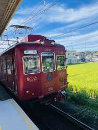 【和歌山県】南高梅がモチーフの可愛い観光列車！