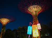 A Lantern Wonderland in Gardens by the Bay