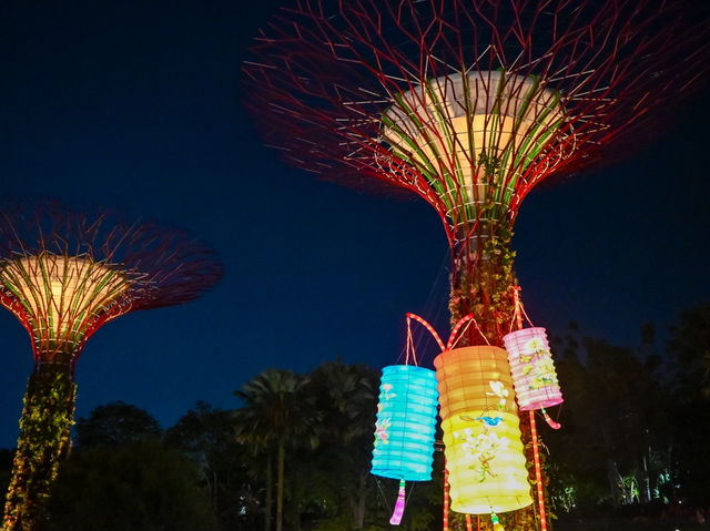A Lantern Wonderland in Gardens by the Bay