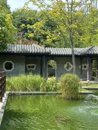 도심 속 중국식 전통공원 월화원 🌿