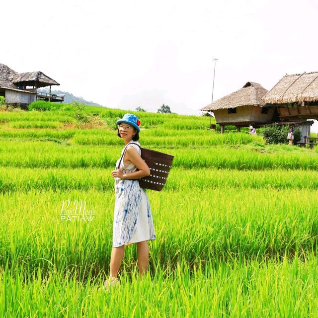 นาขั้นบันได บ้านป่างเปียง เชียงใหม่