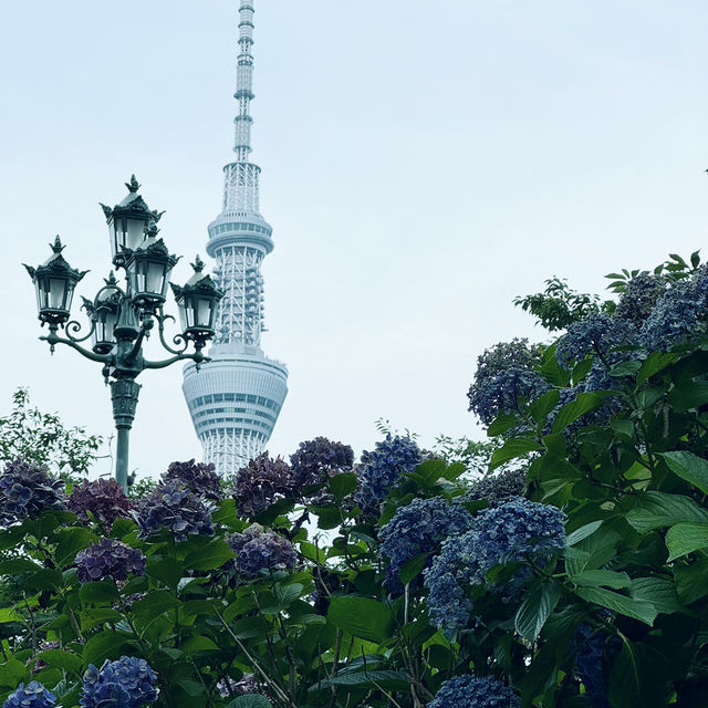 東京 晴空塔