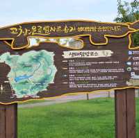 산책하기 좋은 고창 고인돌 박물관