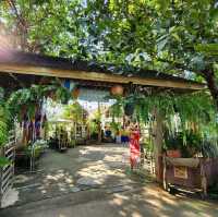 ตลาดฉำฉา : กาดชุมชนโหล่งฮิมคาว สันกำแพง เชียงใหม่