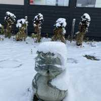 北海道「定山溪溫泉」夢幻的溫泉勝地!📸🔥