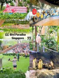 Up Close with Animals at Bird Paradise
