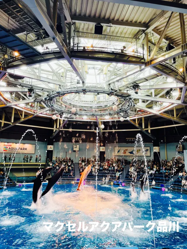 【東京都：品川】震撼力十足的表演不容錯過！麥克賽爾AQUA PARK SHINAGAWA水族館！