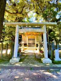 【茨城県】大洗磯前神社の境内にあるお稲荷様